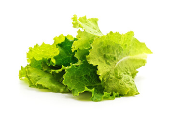 Bunch of green lettuce leaves. - 760797016
