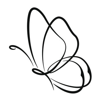 Butterfly simple icon. Black Vector illustration isolated on white background. Butterfly continuous line drawing. Decorative element for logo. Insect shapes in outline style.