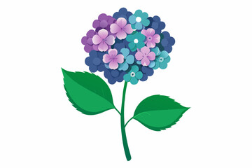 Hydrangea flower with stem and dark green leaves, vector art illustration
