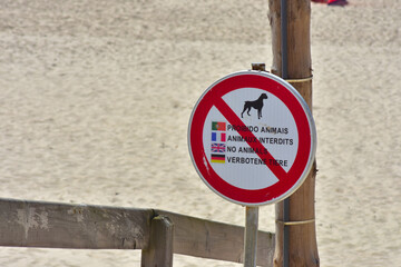 Sign on the beach warning people that dogs are not allowed