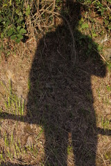 Human shadow on the ground