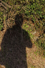 Human shadow on the ground