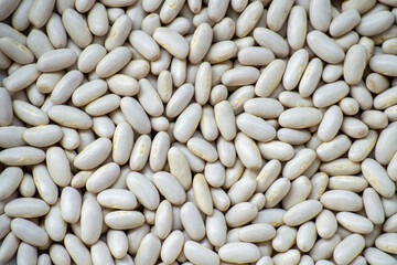 White haricot beans background. Healthy dried uncooked seeds stacked together