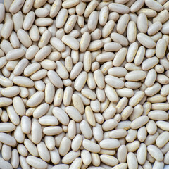 White haricot beans background. Healthy dried uncooked seeds stacked together