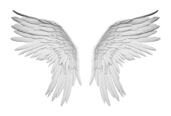 Angel Wings Isolated on Transparent Background
