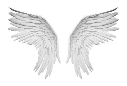 recommend clip art: Angel Wings Isolated on Transparent Background
                    
