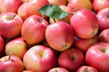 Fototapeta na wymiar fresh red apples as background, top view
