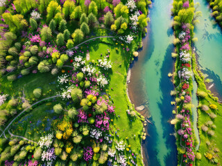 A drone shot of the most beautiful spring meadow with colourful flowers, trees, river, beautiful nature, colourful landscape, turquoise water, green gras, green planet, mother earth 