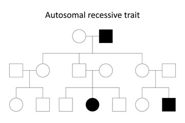 Pedigree. Autosomal recessive trait.