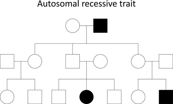 Pedigree. Autosomal recessive trait.