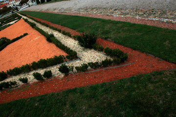 red and green grass