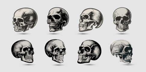 Vintage skull heads vector set, Human skull illustrations collection on white background. Generative AI