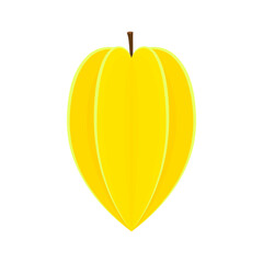 Carambola star fruit vector. Carambola star fruit in flat style. Vector illustration isolated on white background.