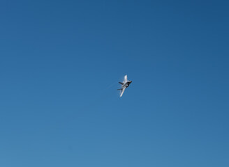 Fototapeta na wymiar F-22 raptor fly by