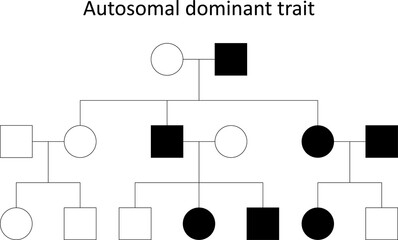 Pedigree. Autosomal dominant trait.