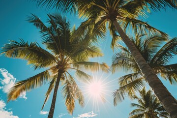 Fototapeta na wymiar Summer breeze through palm trees, gently swaying; Ocean breeze, palm trees dancing in the sunlight.