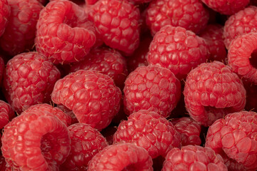 Raspberries. Fresh juicy raspberries bright background.