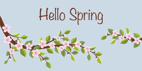 Hello Spring - Schriftzug in englischer Sprache - Hallo Frühling. Grußkarte mit Kirschblütenzweigen.