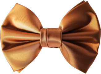 Elegant orange bow tie, cut out transparent