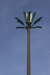 Antenna with palm form decoration