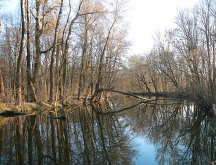 Jezioro Wilanowskie na początku wiosny