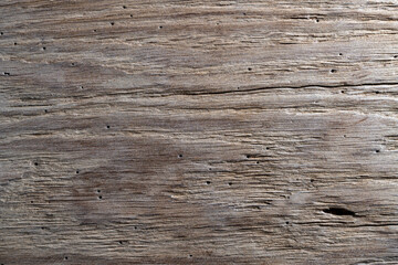 Rustic weathered barn wood background with termites holes. Vintage brown wooden barn oak with...