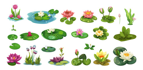 Swamp plants set. Isolated cartoon water lily. Forest pond elements, wild nature green collection. Vector floral and herbst clipart