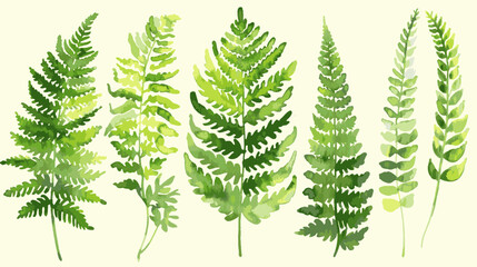 Vector Watercolor Ferns Illustration