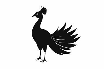 peacock silhouette vector on white background.