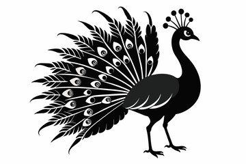 peacock silhouette vector on white background.