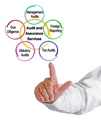 Five Audit and Assurance Services