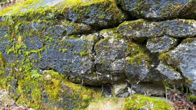 Arpad Line bunker - World War I era in a defensive position. It was blown up after the capture; there are hundreds of such bunkers in the Carpathians