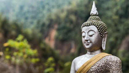 Thai Budda in the mountains, forest background.