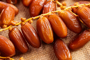 Dried date fruits with dry branches on a rough sackcloth. Sweet natural Turkish dessert