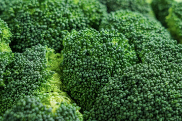 Pile of raw organic harvested Broccoli close up. Vegetable fresh ingredients