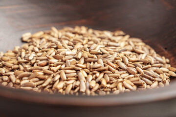 Herbal milk thistle plant seeds in wooden bowl. Natural antioxidant ingredients for liver health