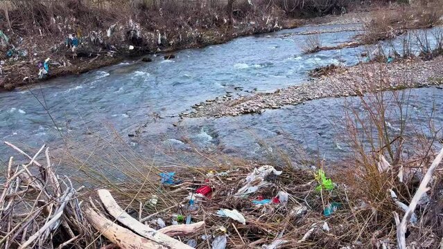 Environmental pollution in Ukraine: plastic bottles and garbage floating in a wild river in Zakarpattia. Ecological disaster with plastic waste and trash accumulation in Carpathian nature stream.