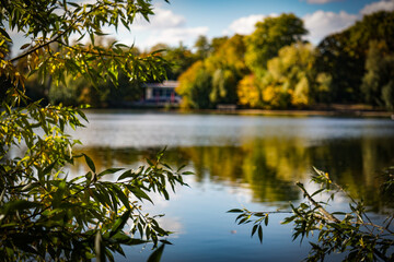 Wald am See