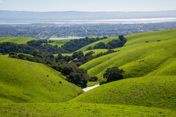 view in Vargas Plateau Regional Park