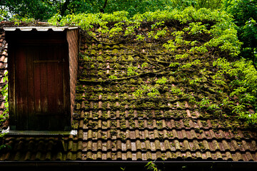 vermoostes Häuserdach