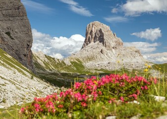 Mount Becco di Mezzodi and red colored mountain flowers - 760861640