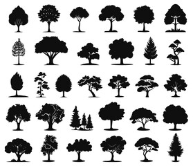 Tree black icons. Various coniferous and deciduous trees simple silhouettes, beautiful decorative plants graphic