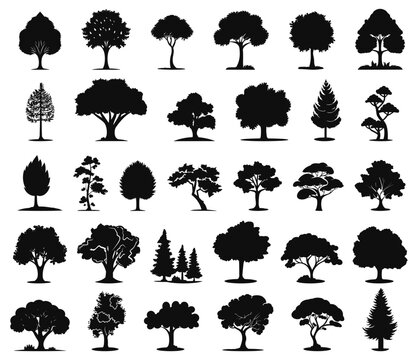 Tree black icons. Various coniferous and deciduous trees simple silhouettes, beautiful decorative plants graphic