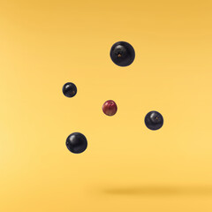 Fresh ripe elderberry falling in the air isolated  on yellow background. Food levitating or zero...