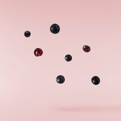 Fresh ripe elderberry falling in the air isolated on pink background. Food levitating or zero...