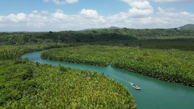 Bohol Loboc river cruise on Philippines. Palms, cloudy sky, hills