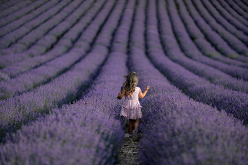 Lavender field girl. Back view happy girl in pink dress with flowing hair runs through a lilac...