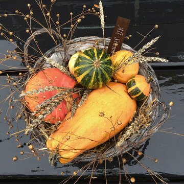 still life with pumpkins basket