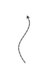 Combination of Black Lines Dotted Arrows