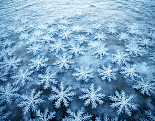 Snowflakes frozen underwater.
